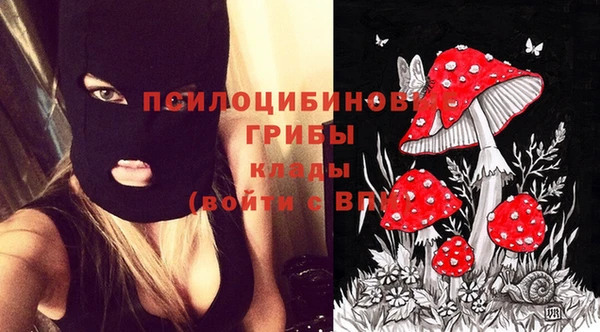 a pvp Покачи
