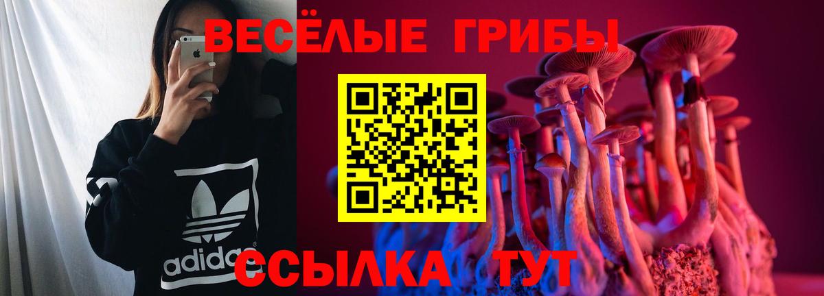 Галлюциногенные грибы мицелий Арсеньев